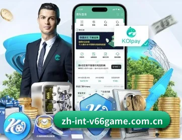 v66体育 APP 深度功能